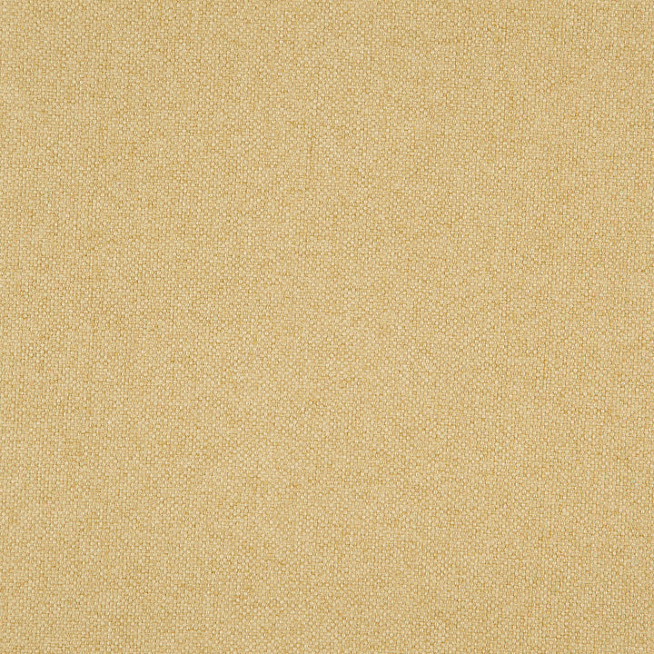 HASTINGS 16J8301 by JF Designer Fabric Everyday Crusader Fibreguard 100% Polyester China  Horizontal:  and Vertical:  57  - Swanky Fabrics -