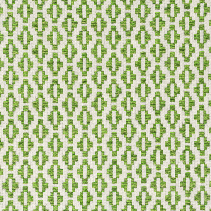 Hatfield 1 Grass by Stout Designer Fabric THE ART OF COLOR HERITAGE 65%POL 35%COT INDIA FLAME RETARDANT-U.F.A.C. CLASS 1 FLAME RETARDANT-N.F.P.A. 260A CLASS 1 WYZENBEEK 50 000 DOUBLE RUB WEAR TEST (HEAVY DUTY) Horizontal: 0.75 and Vertical: 0.75 54 in - Swanky Fabrics -