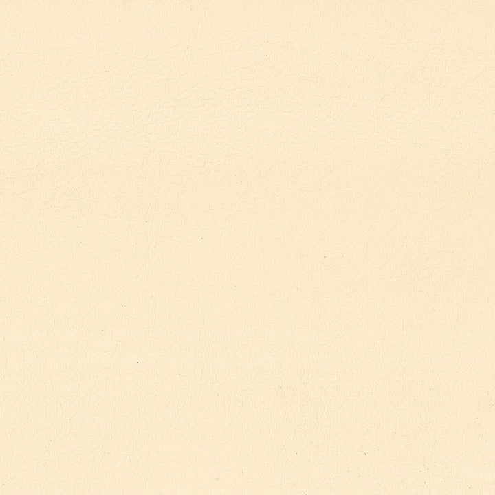 Hayride 4 Champagne by Stout Designer Fabric ON THE GO 100%PVC 1%OTH TAIWAN FLAME RETARDANT-CA BULLETIN 117-SECTION E FLAME RETARDANT-U.F.A.C. CLASS 1 FLAME RETARDANT-N.F.P.A. 260A CLASS 1 FLAME RETARDANT-FMVSS 302 WYZENBEEK 500 000 DOUBLE RUB WEAR TEST(EXTREMELY HEAVY DUTY) Horizontal: 0 and Vertical: 0 54 in - Swanky Fabrics -