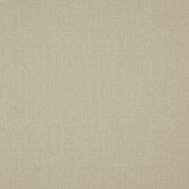 Heather 32J7571 by JF Designer Fabric Heather Book 100% Polyester India 85000 Horizontal: and Vertical: 54 - Swanky Fabrics -