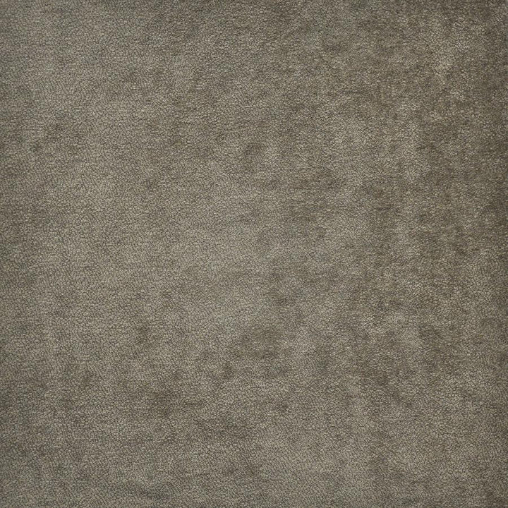 Hyde # 657 Almond by Maxwell Designer Fabric Performance Wovens-Vol.Iv Smokeshow 53% POLYESTER/40% ACRYLIC 7% VISCOSE TURKEY 54" - Swanky Fabrics -