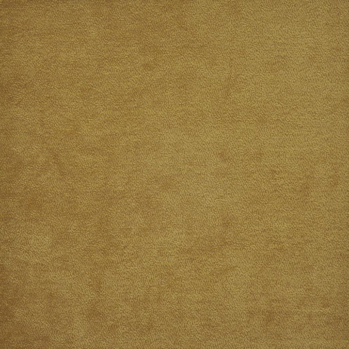 Hyde # 816 Honey by Maxwell Designer Fabric Performance Wovens-Vol.Iv Boudoir 53% POLYESTER/40% ACRYLIC 7% VISCOSE TURKEY 54" - Swanky Fabrics -