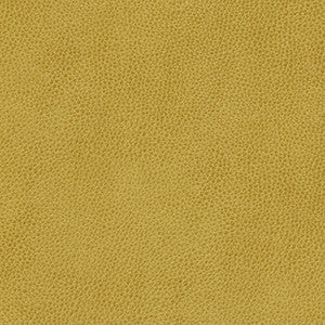 Maxwell Fabric Hermitage-Nj # 1303 Lawn