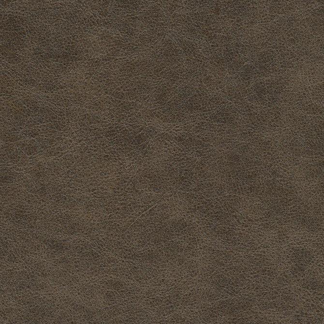 Hoth-Nj # 696 Cave by Maxwell Designer Fabric Memos Only-Coated Fabrics FACE: 100% PVC
BACKING: 100% POLYESTER VIETNAM 54" - Swanky Fabrics -