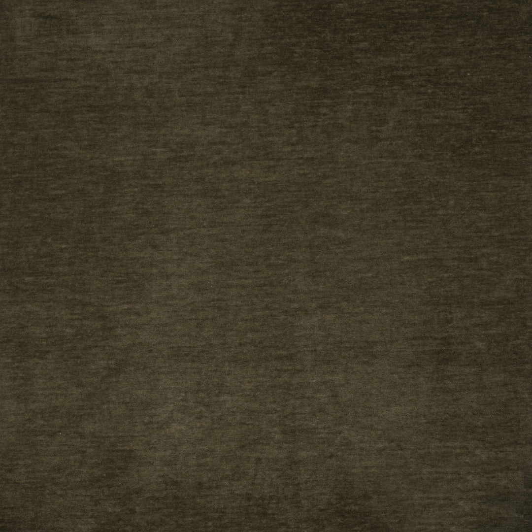 Harrington # 510 Olive by Maxwell Designer Fabric Performance Velvets-Vol.Vi 100% POLYESTER CHINA 55" - Swanky Fabrics -