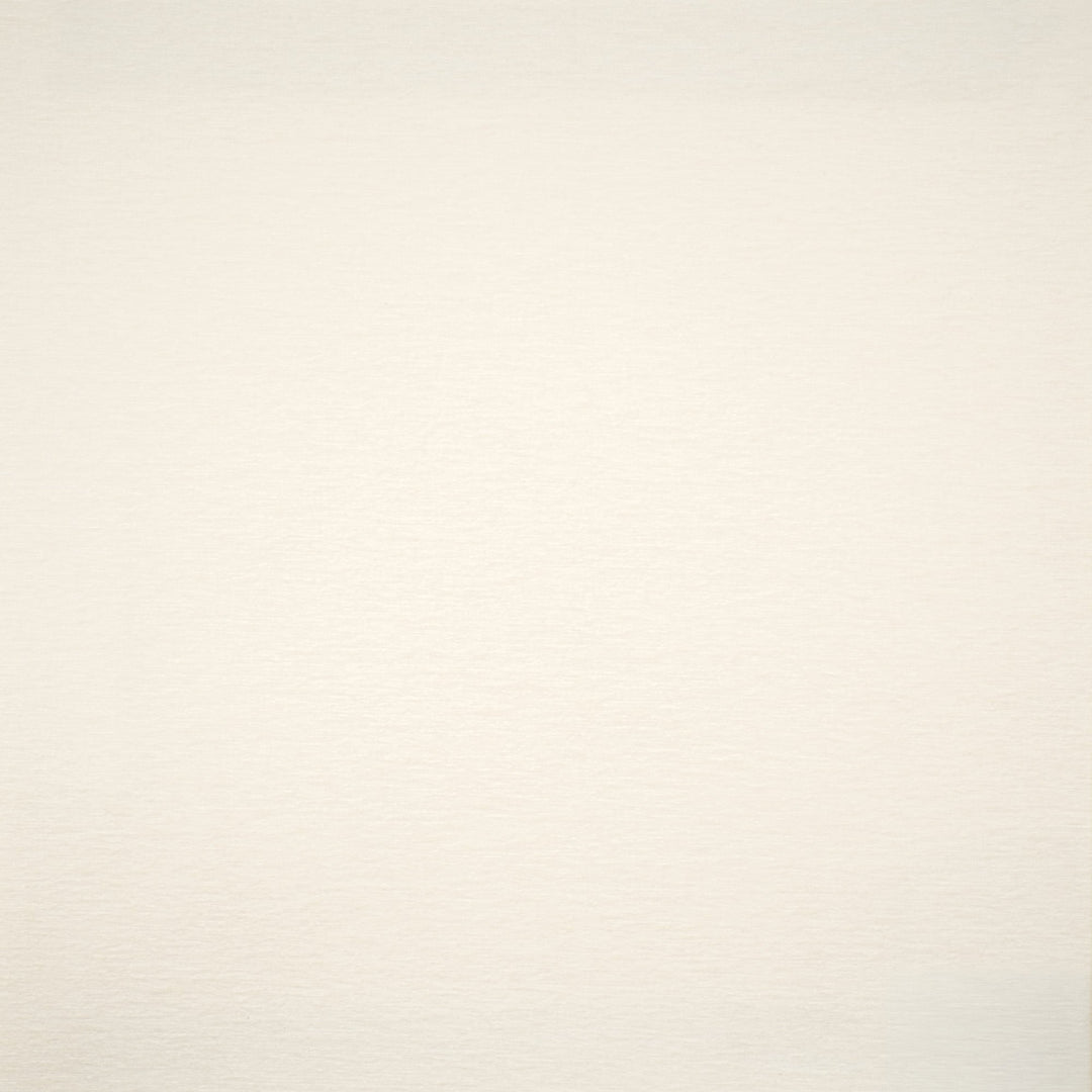 Harrington # 532 Snow by Maxwell Designer Fabric Performance Velvets-Vol.Vi 100% POLYESTER CHINA 55" - Swanky Fabrics -