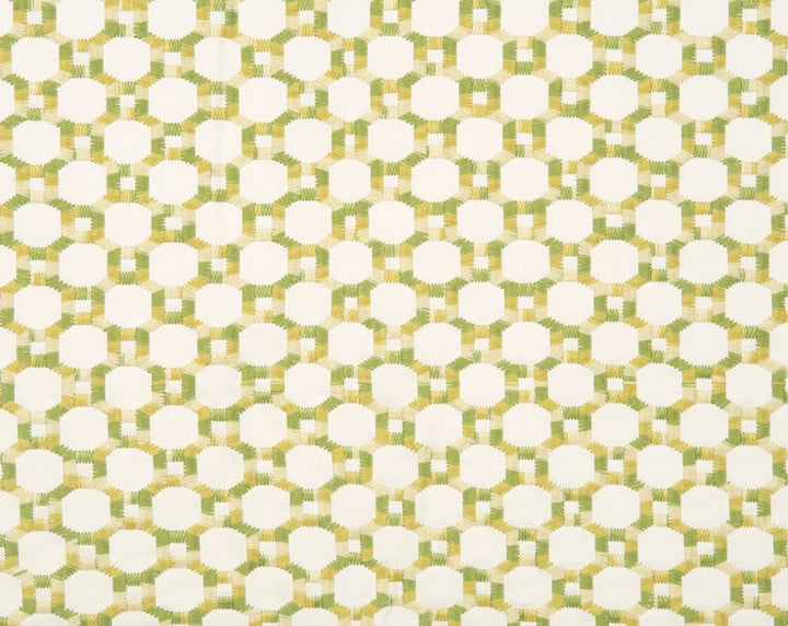 Island Trellis Green HN420140005 by Hinson Designer Fabric