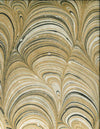Norbar Fabric Holden Gold 214