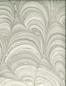 Holden Taupe 229 by Norbar Designer Fabric MONTAGE 100% POLYESTER SPAIN 20 3/8"V 13 1/3"H 54 - Swanky Fabrics -