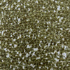 Europatex Fabric Harvest Sprouts