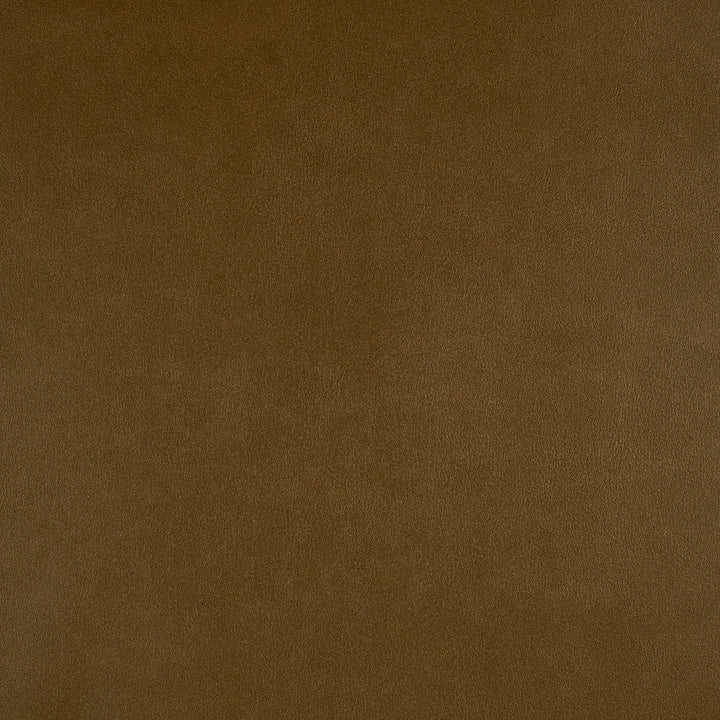 Icon # 727 Aztec by Maxwell Designer Fabric Easy Rider Vii FACE: 95% POLYURETHANE/ 5% SILICONE
BACKING: 100% POLYESTER TAIWAN 54" - Swanky Fabrics -