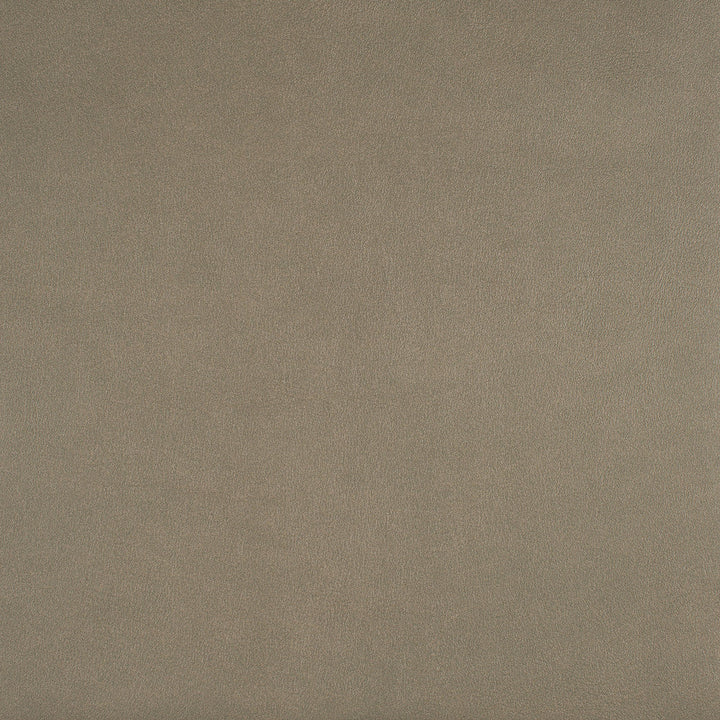 Icon # 738 Twine by Maxwell Designer Fabric Easy Rider Vii FACE: 95% POLYURETHANE/ 5% SILICONE
BACKING: 100% POLYESTER TAIWAN 54" - Swanky Fabrics -
