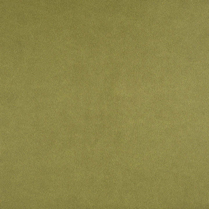 Icon # 741 Spring by Maxwell Designer Fabric Easy Rider Vii FACE: 95% POLYURETHANE/ 5% SILICONE
BACKING: 100% POLYESTER TAIWAN 54" - Swanky Fabrics -