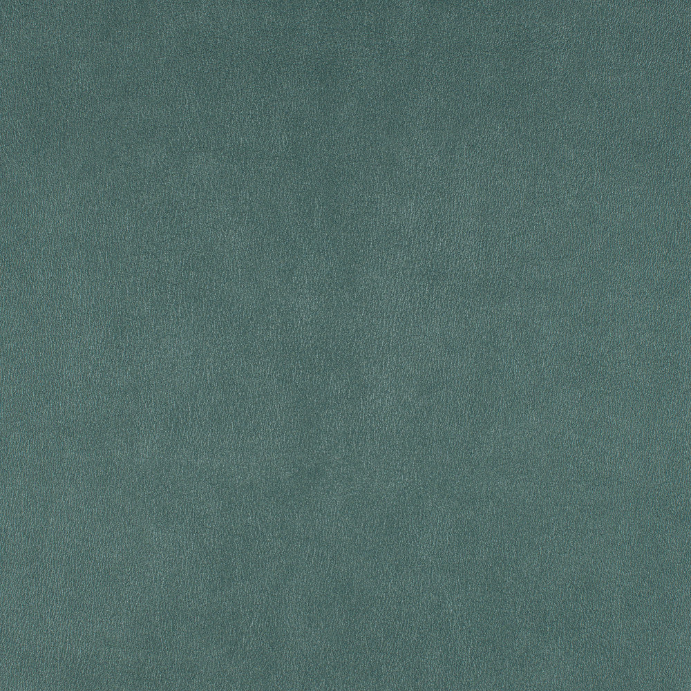 Icon # 748 Shoreline by Maxwell Designer Fabric Easy Rider Vii FACE: 95% POLYURETHANE/ 5% SILICONE
BACKING: 100% POLYESTER TAIWAN 54" - Swanky Fabrics -