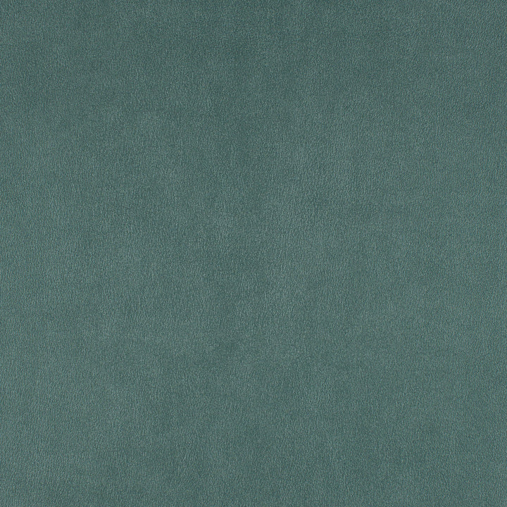 Icon # 748 Shoreline by Maxwell Designer Fabric Easy Rider Vii FACE: 95% POLYURETHANE/ 5% SILICONE
BACKING: 100% POLYESTER TAIWAN 54" - Swanky Fabrics -