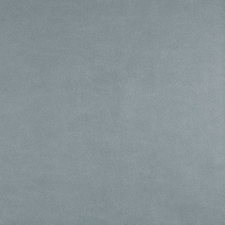 Icon # 752 Skylight by Maxwell Designer Fabric Easy Rider Vii FACE: 95% POLYURETHANE/ 5% SILICONE
BACKING: 100% POLYESTER TAIWAN 54" - Swanky Fabrics -