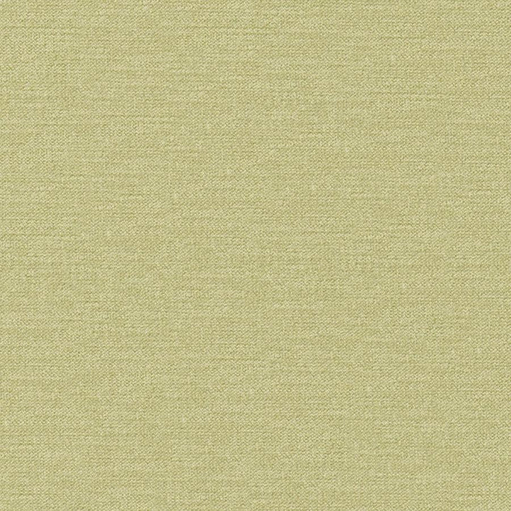 Impasto # 808 Pear by Maxwell Designer Fabric Curled Up Viii 100% POLYESTER CHINA 56" - Swanky Fabrics -