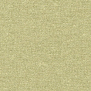Maxwell Fabric Impasto # 808 Pear