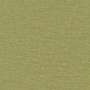 Maxwell Fabric Impasto # 810 Fern