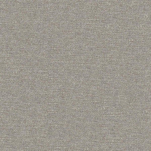 Maxwell Fabric Impasto # 906 Shark