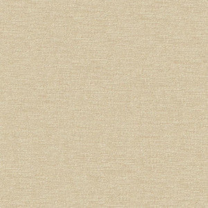 Maxwell Fabric Impasto # 950 Biscuit