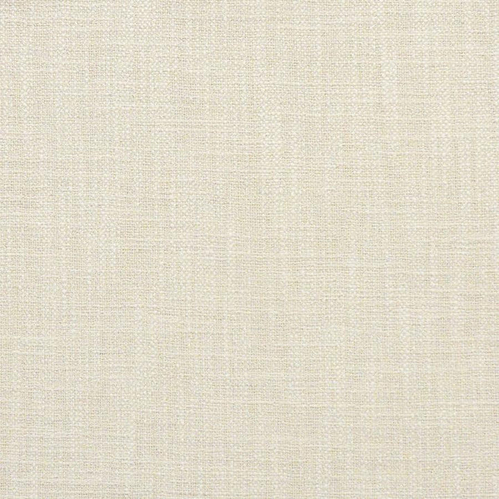Indus # 230 Angora by Maxwell Designer Fabric Color Theory-Vol.Vi Alabaster 100% POLYESTER INDIA 55.5" - Swanky Fabrics -