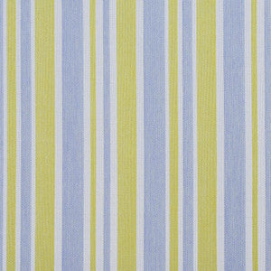 Charlotte Fabric I9000-24