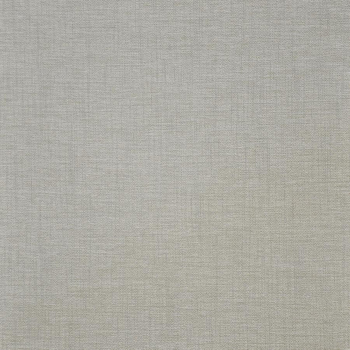 Illusion # 202 Sheer by Maxwell Designer Fabric Easy Rider V 100% PVC TAIWAN 54" - Swanky Fabrics -