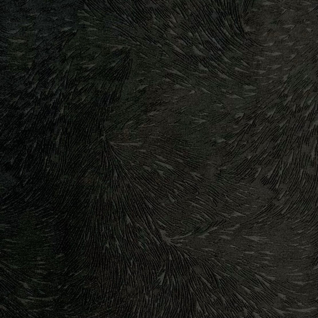 Plume Pure Black by Europatex Designer Fabric