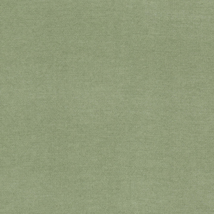 Inevitable 1 Celadon by Stout Fabric Stout Fabric Inevitable 1 CeladonFabric COMFORTABLE LIVING SAGE/MOSS 100%POL CHINA </p><p>Repeat: H: 0.000, V: 0.000 56 in - Fabric Carolina -