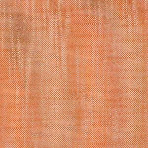 Magnolia Fabric Insideout Frances Citrus