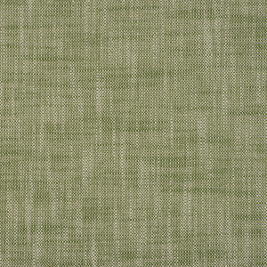 Magnolia Fabric Insideout Frances Lawn