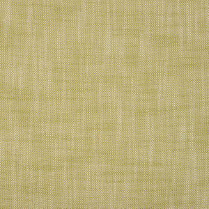 Magnolia Fabric Insideout Frances Palm
