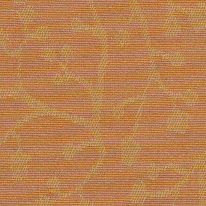 Crypton Fabric Insight Coral