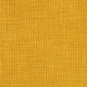 Crypton Fabric Insignia Nectar