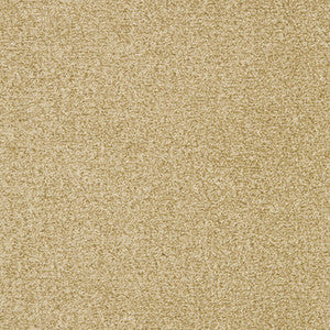 Crypton Fabric Interlude Camel