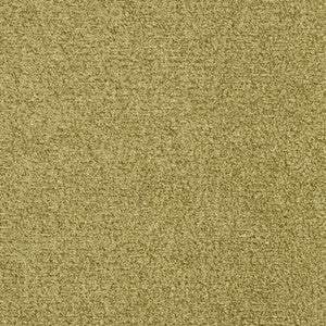 Crypton Fabric Interlude Dill