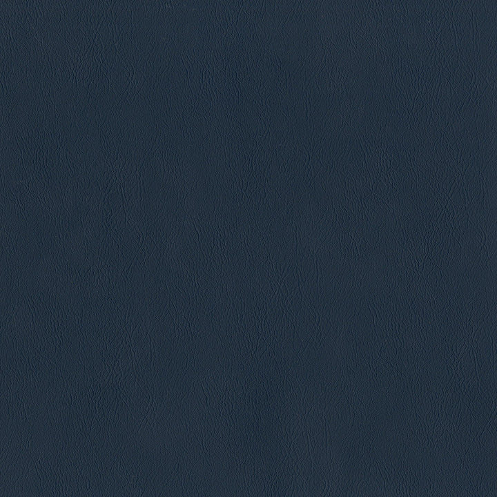 Jackson # 601 Admiral by Maxwell Designer Fabric Jackson FACE: 100% PVC
BACKING: 100% POLYESTER CHINA 55" - Swanky Fabrics -
