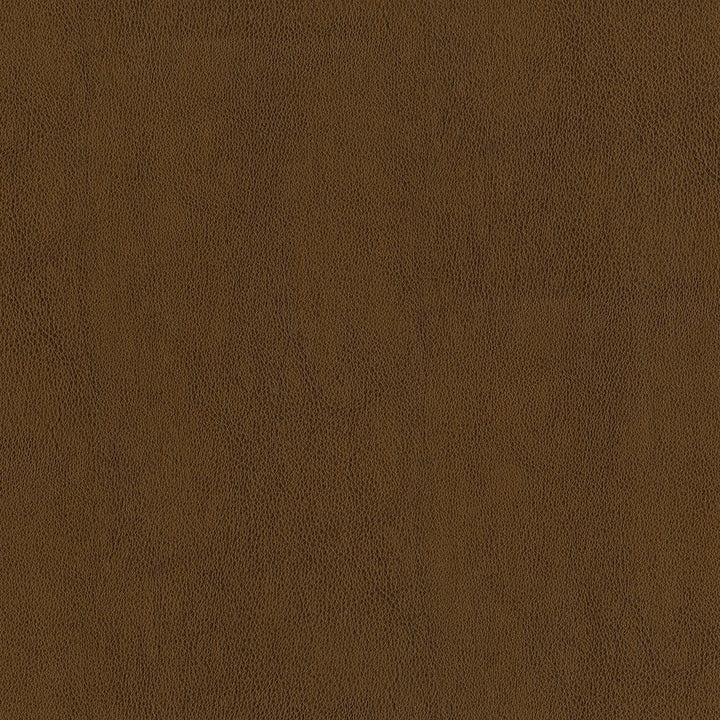 Jackson # 603 Autumn by Maxwell Designer Fabric Jackson FACE: 100% PVC
BACKING: 100% POLYESTER CHINA 55" - Swanky Fabrics -