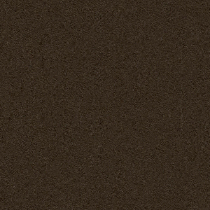 Jackson # 605 Coffee by Maxwell Designer Fabric Jackson FACE: 100% PVC
BACKING: 100% POLYESTER CHINA 55" - Swanky Fabrics -