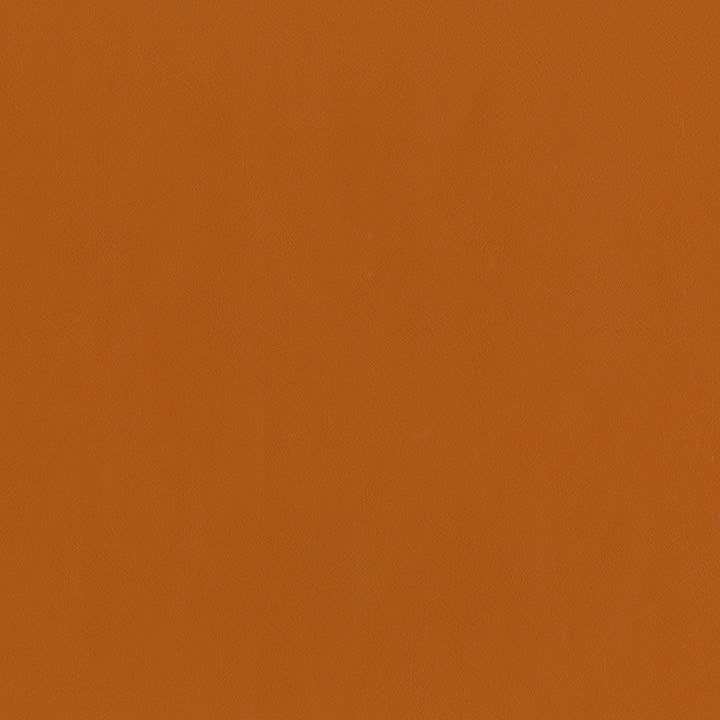 Jackson # 612 Spice by Maxwell Designer Fabric Jackson FACE: 100% PVC
BACKING: 100% POLYESTER CHINA 55" - Swanky Fabrics -