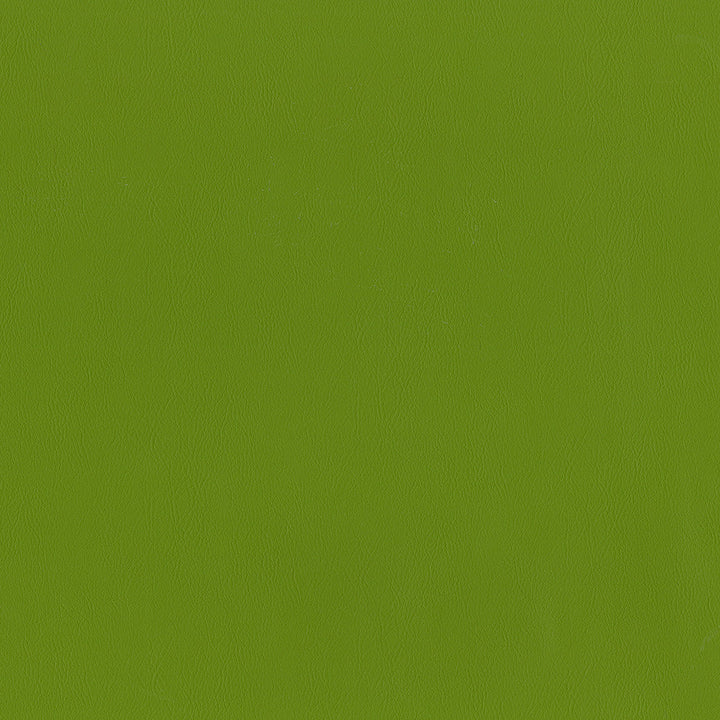 Jackson # 614 Grass by Maxwell Designer Fabric Jackson FACE: 100% PVC
BACKING: 100% POLYESTER CHINA 55" - Swanky Fabrics -