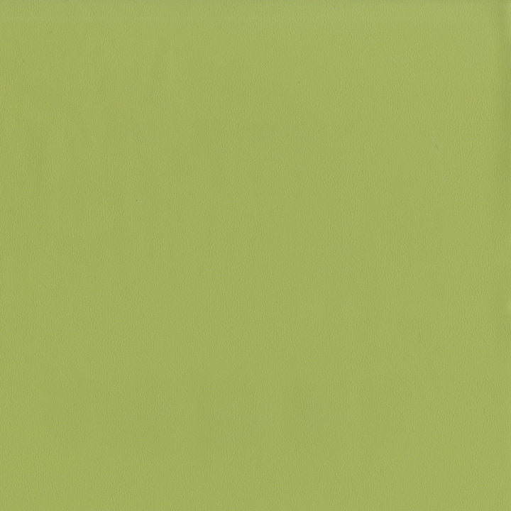 Jackson # 615 Aloe by Maxwell Designer Fabric Jackson FACE: 100% PVC
BACKING: 100% POLYESTER CHINA 55" - Swanky Fabrics -