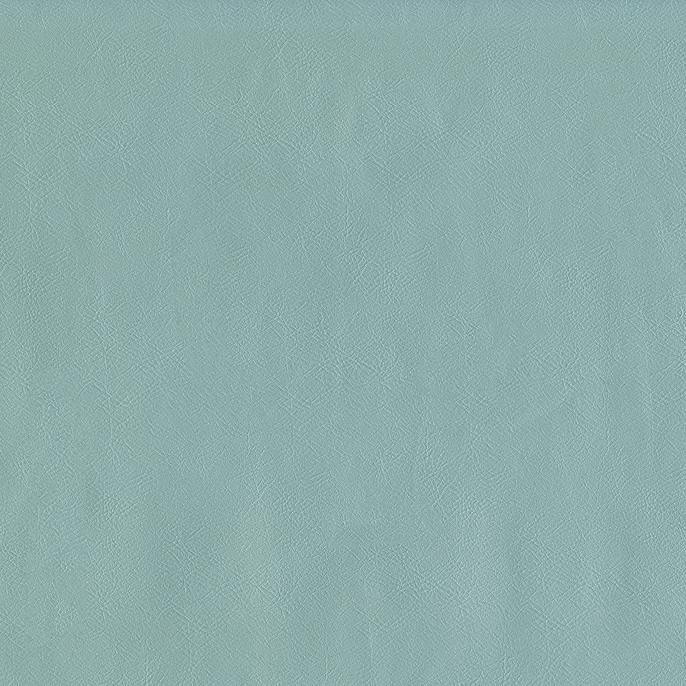 Jackson # 616 Powder by Maxwell Designer Fabric Jackson FACE: 100% PVC
BACKING: 100% POLYESTER CHINA 55" - Swanky Fabrics -