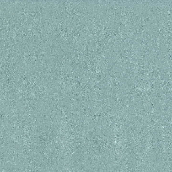 Jackson # 616 Powder by Maxwell Designer Fabric Jackson FACE: 100% PVC
BACKING: 100% POLYESTER CHINA 55" - Swanky Fabrics -