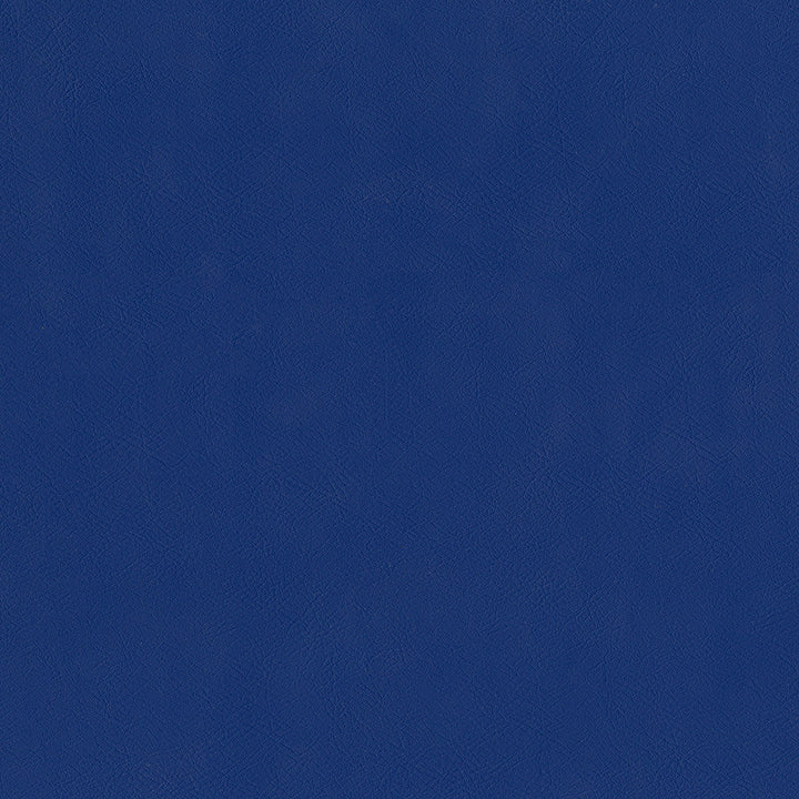 Jackson # 619 Azure by Maxwell Designer Fabric Jackson FACE: 100% PVC
BACKING: 100% POLYESTER CHINA 55" - Swanky Fabrics -