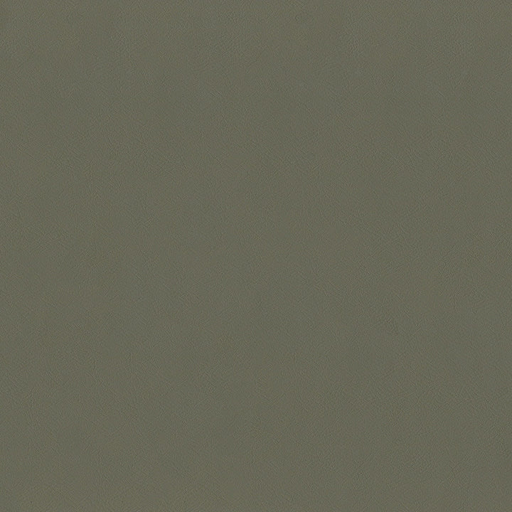 Jackson # 629 Gravel by Maxwell Designer Fabric Jackson FACE: 100% PVC
BACKING: 100% POLYESTER CHINA 55" - Swanky Fabrics -