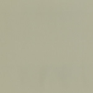 Maxwell Fabric Jackson # 630 Haze