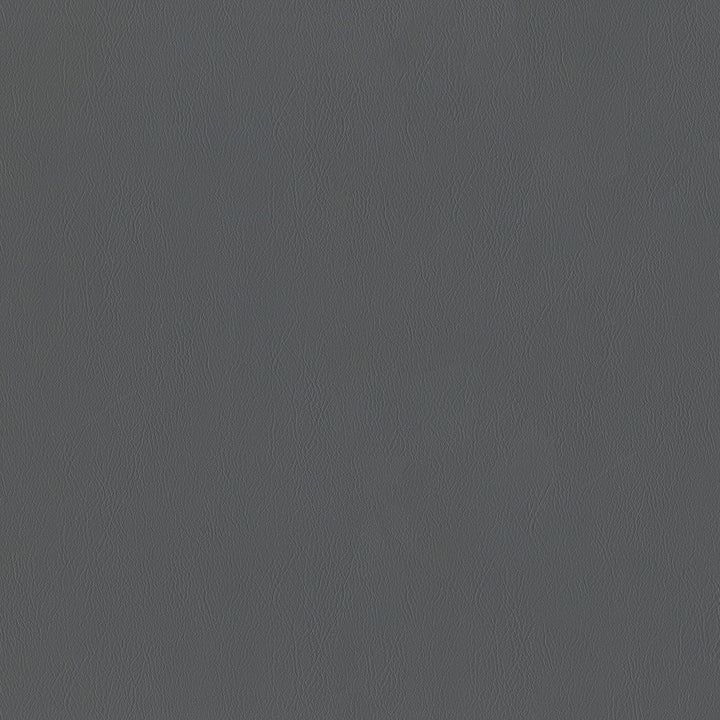 Jackson # 637 Iron by Maxwell Designer Fabric Jackson FACE: 100% PVC
BACKING: 100% POLYESTER CHINA 55" - Swanky Fabrics -