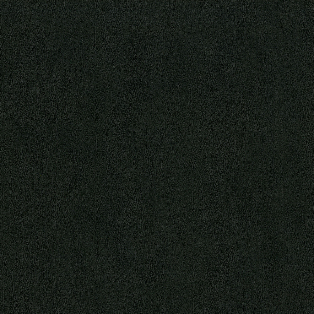 Jackson # 640 Onyx by Maxwell Designer Fabric Jackson FACE: 100% PVC
BACKING: 100% POLYESTER CHINA 55" - Swanky Fabrics -
